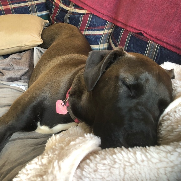 Please Share Closet 🙏 Posher needs help ❤️ - Picture 4 of 11